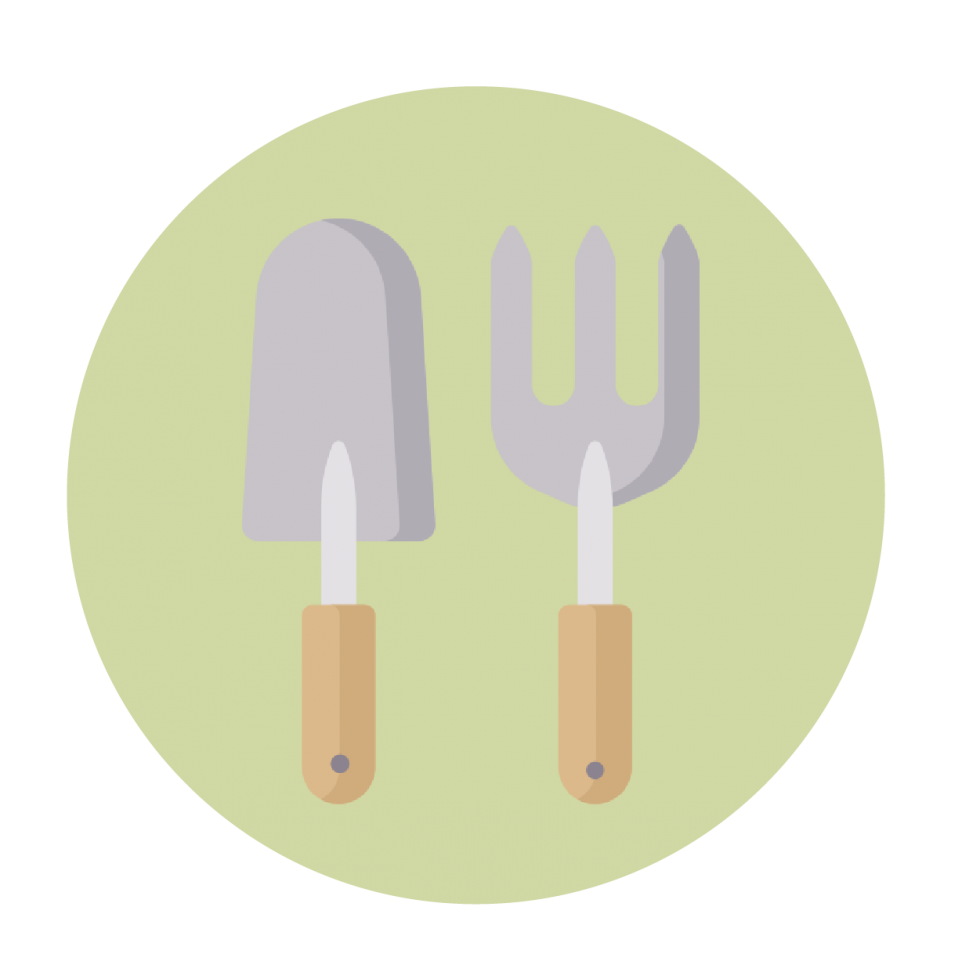 Garlic Farmers SA Garlic Supplier & Garlic Seeds South Africa